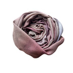 The Canyon Rose